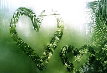 pg娱乐体育：数说真相 ｜ 时好时坏表现极不稳定！火箭为何如此重视杰伦格林？.