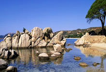 里弗斯谈利拉德无限期缺席：他得保持镇定 这是最重要的事.